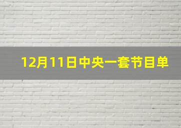 12月11日中央一套节目单