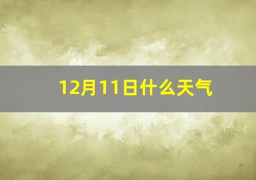 12月11日什么天气