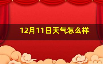 12月11日天气怎么样