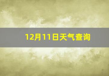 12月11日天气查询