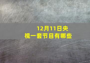 12月11日央视一套节目有哪些