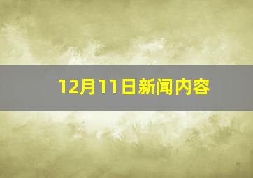 12月11日新闻内容