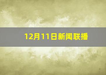 12月11日新闻联播