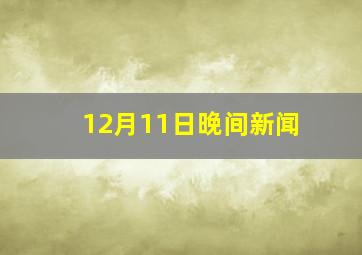 12月11日晚间新闻