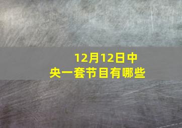 12月12日中央一套节目有哪些