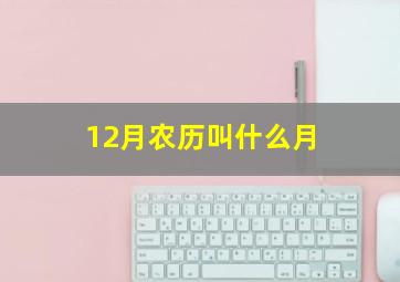 12月农历叫什么月