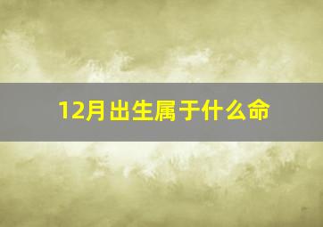 12月出生属于什么命