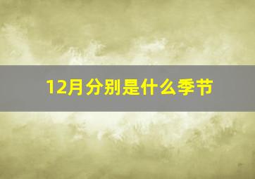 12月分别是什么季节