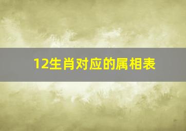 12生肖对应的属相表