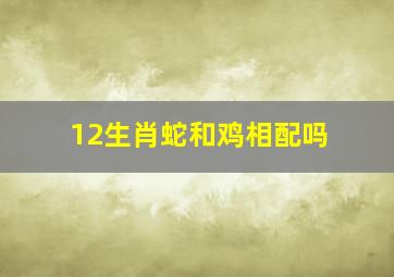 12生肖蛇和鸡相配吗