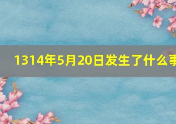 1314年5月20日发生了什么事