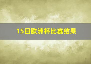 15日欧洲杯比赛结果