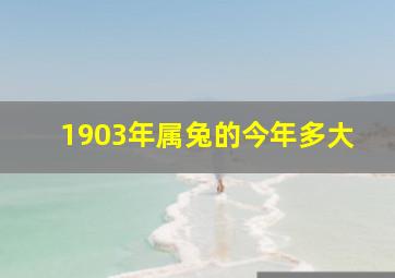 1903年属兔的今年多大