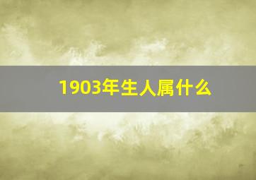 1903年生人属什么