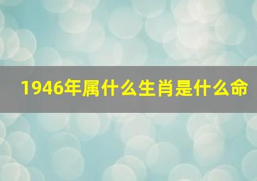 1946年属什么生肖是什么命