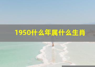 1950什么年属什么生肖