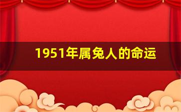 1951年属兔人的命运