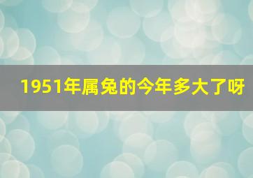 1951年属兔的今年多大了呀