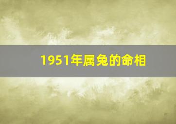 1951年属兔的命相