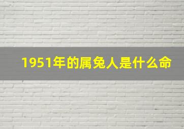 1951年的属兔人是什么命