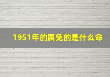 1951年的属兔的是什么命