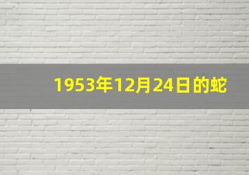 1953年12月24日的蛇