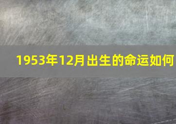 1953年12月出生的命运如何