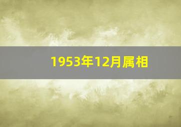 1953年12月属相