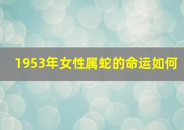 1953年女性属蛇的命运如何