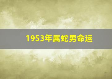 1953年属蛇男命运