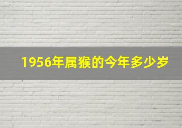 1956年属猴的今年多少岁