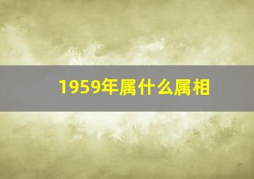 1959年属什么属相