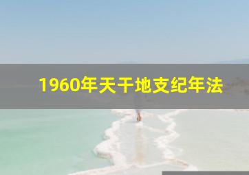 1960年天干地支纪年法