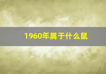 1960年属于什么鼠