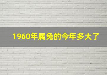 1960年属兔的今年多大了