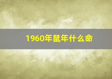 1960年鼠年什么命