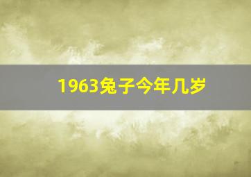 1963兔子今年几岁