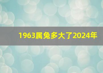 1963属兔多大了2024年