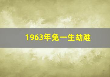 1963年兔一生劫难