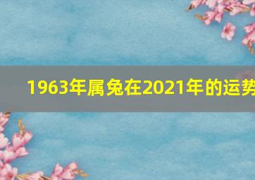 1963年属兔在2021年的运势