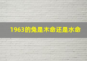 1963的兔是木命还是水命