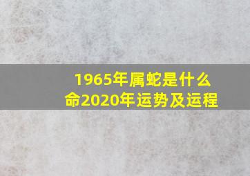 1965年属蛇是什么命2020年运势及运程