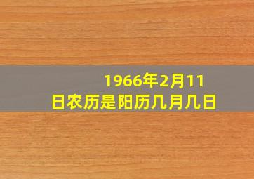 1966年2月11日农历是阳历几月几日