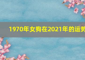 1970年女狗在2021年的运势