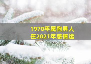 1970年属狗男人在2021年感情运