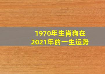 1970年生肖狗在2021年的一生运势