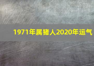 1971年属猪人2020年运气