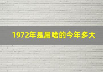 1972年是属啥的今年多大