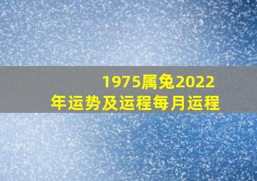 1975属兔2022年运势及运程每月运程