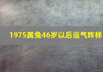 1975属兔46岁以后运气咋样